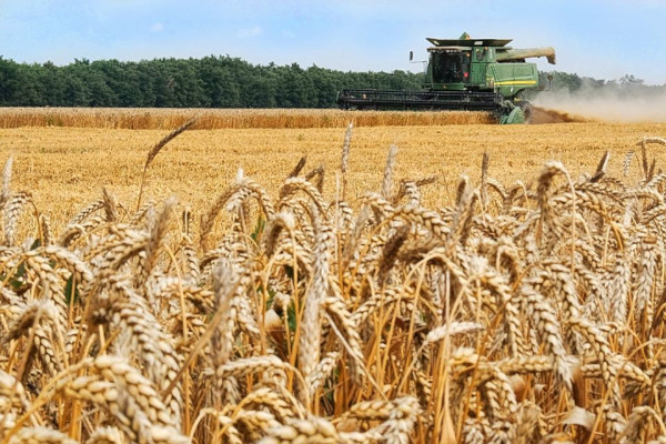 В 2019 году ущерб сельскому хозяйству РФ от ЧС составил 9,5 млрд рублей. экономика, сельское хозяйство