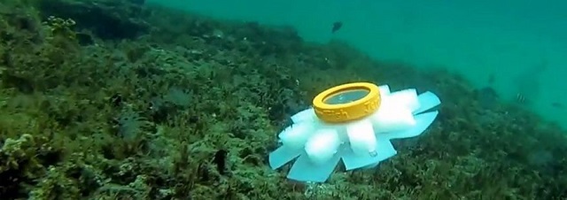 Изучением океана займутся искусственные медузы. 26607.jpeg