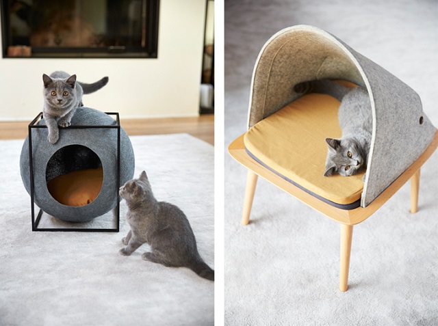 Дизайнерские кровати для кошек. 26611.jpeg