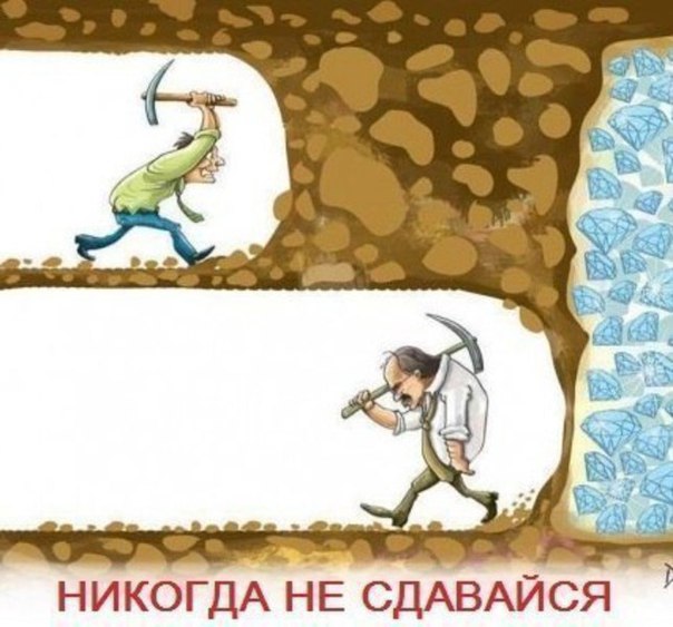 Двенадцать причин не сдаваться