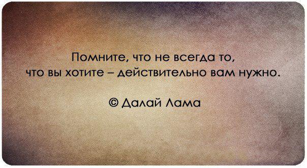 Финансовая обезьянья мудрость