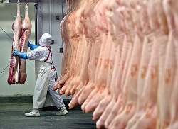 Борис Гутник: Трудности с мясным сырьем мы ощутим в 2015 году