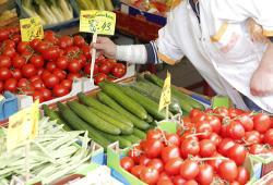 Роспотребнадзор готов снять запрет на поставку овощей из Европы