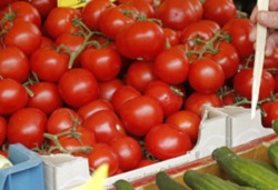 20 тонн томатов из Нидерландов задержали на границе