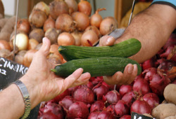 Разрешен ввоз в Россию овощей из Венгрии и Италии