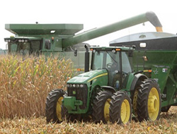 Урожай зерна оправдывает прогнозы