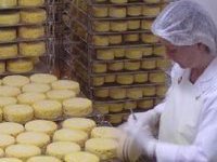 Роспотребнадзор запретил ввоз в Россию сыров из Украины