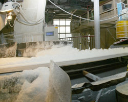 В России могут остановить три завода по производству сахара