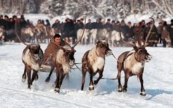 День коренных народов мира в Ханты-Мансийске отметят с размахом