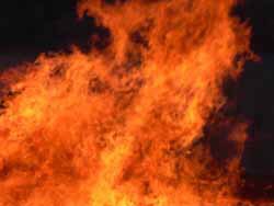 В России растет количество природных пожаров