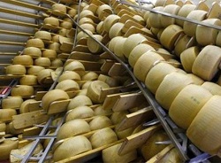 Сыр из Евросоюза попадает в Россию как сырный продукт - эксперт