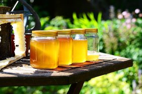 Приморский мёд будут поставлять в США