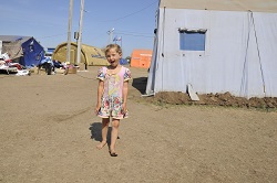 В Ростовской области продолжают помогать беженцам