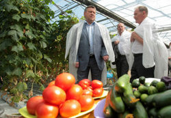 До 1 августа внутри Таможенного союза отменены пошлины на овощи и фрукты