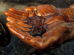 Нефть Ванкорского месторождения будет облагаться льготной пошлиной