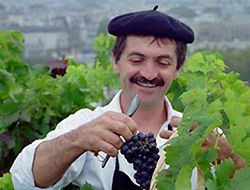Молдаване сливают вино соседям