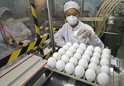 Ущерба от запрета на транзит турецких яиц не будет 