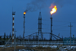 Всемирный фонд дикой природы не доволен сделкой  Роснефти  с ExxonMobil