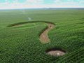 Владимир Смагин: Фермерам не на что обрабатывать землю