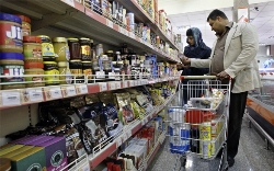 В Ростовской области проведут особый мониторинг цен на продукты