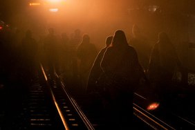 В 2022 году доля трудовых мигрантов составила 4,7% мировой рабочей силы